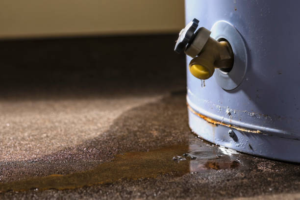 Best Residential water damage restoration  in Emmett, ID