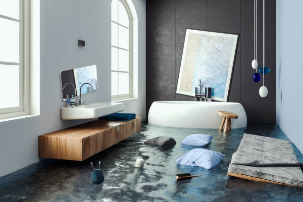 Best Water damage contractors near me  in Emmett, ID