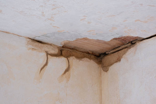 Best Basement water damage restoration  in Emmett, ID
