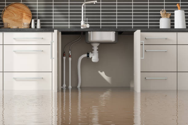 Best Local water damage restoration  in Emmett, ID