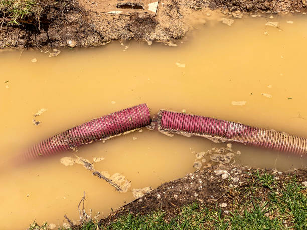 Best Water damage contractors near me  in Emmett, ID